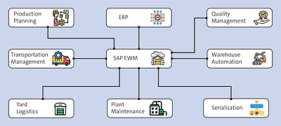 SAP figure p.44